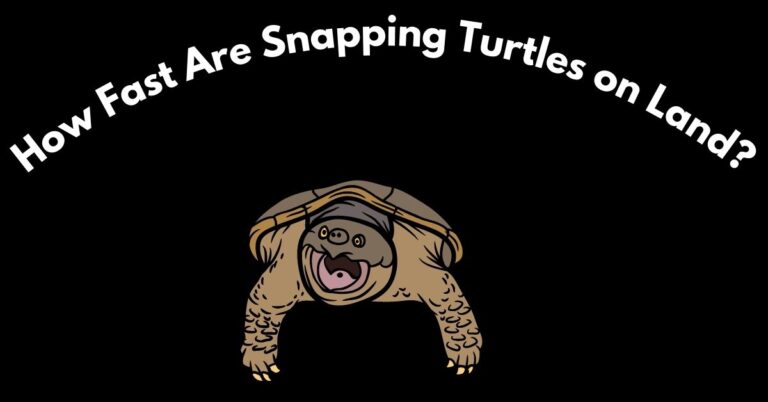 How Fast Are Snapping Turtles on Land? Exploring the Agility of These Remarkable Reptiles