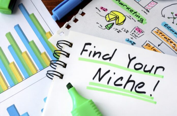 Maximizing Profit in Your Business Niche